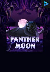 Bocoran RTP Panther Moon di SENSA777 RTP Terbaik dan Terpercaya