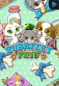 Bocoran RTP PURRFECT PETS di SENSA777 RTP Terbaik dan Terpercaya