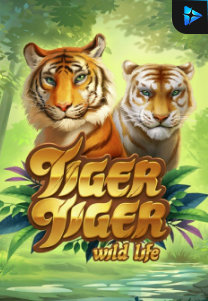 Bocoran RTP Tiger Tiger Wild Life di SENSA777 RTP Terbaik dan Terpercaya