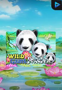 Bocoran RTP Wild Giant Panda di SENSA777 RTP Terbaik dan Terpercaya