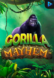 Bocoran RTP Gorilla Mayhem di SENSA777 RTP Terbaik dan Terpercaya